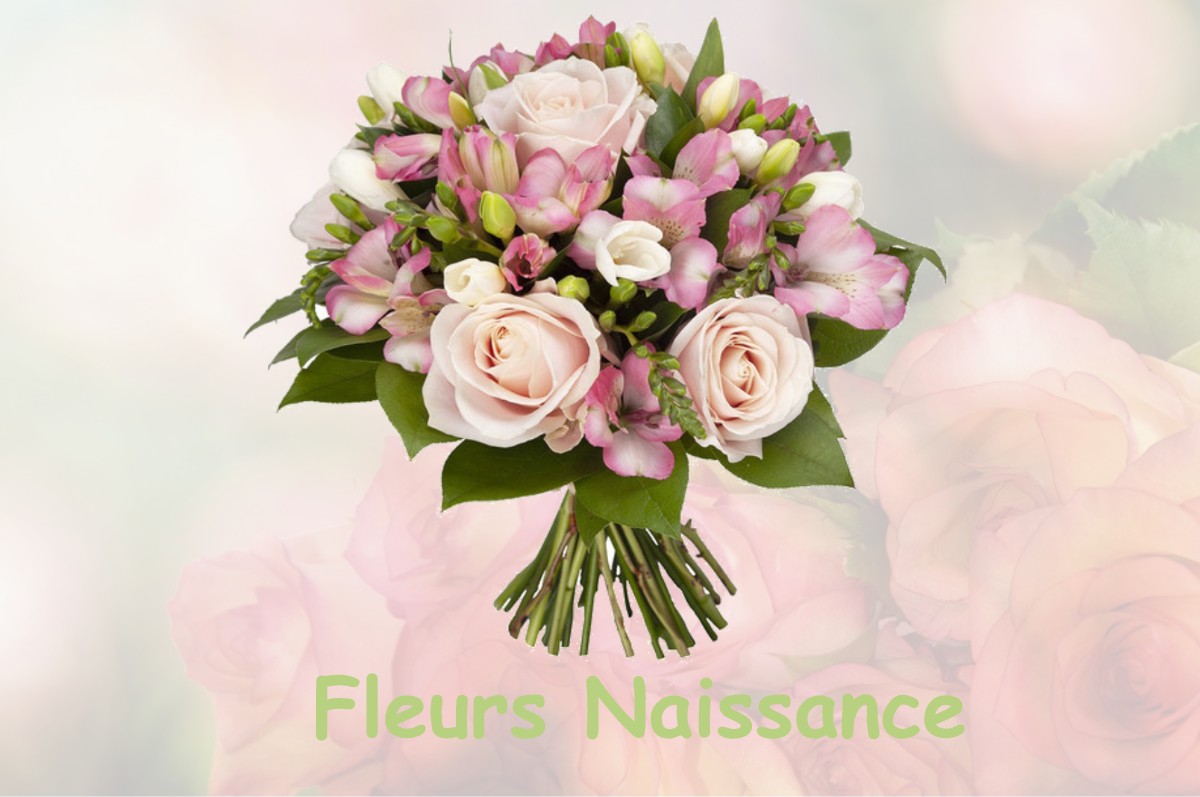 fleurs naissance SAINT-MARTIN-DU-FOUILLOUX
